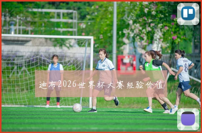 迪布2026世界杯大赛经验价值