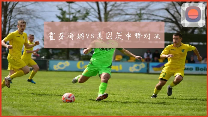 霍芬海姆vs美因茨中锋对决